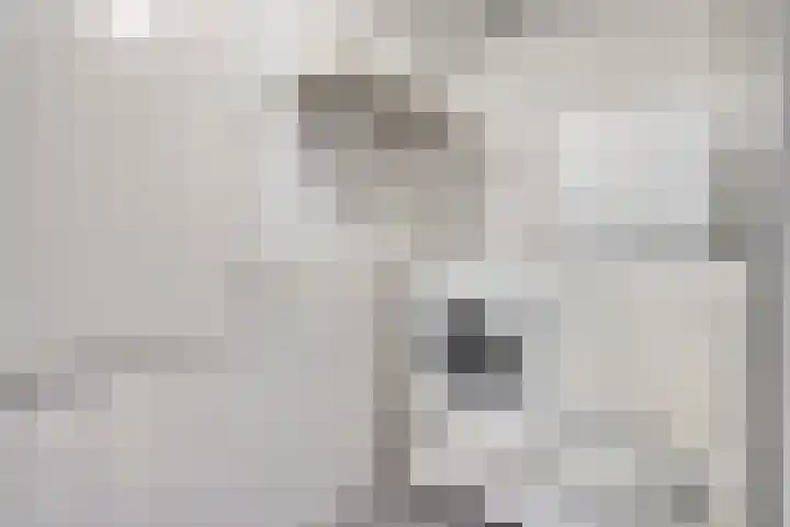 Weegbreepad 8 Goes thumbnail 13