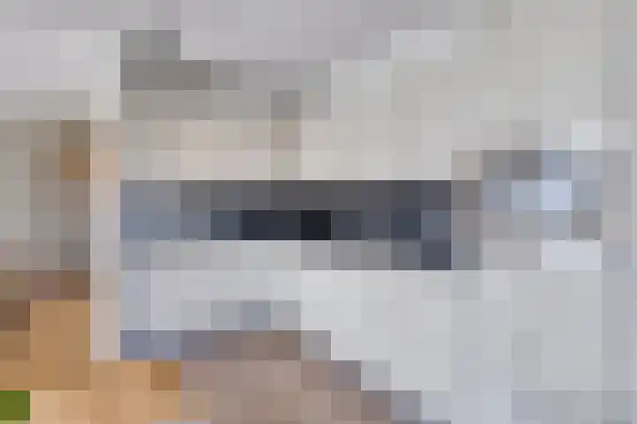 Weegbreepad 8 Goes thumbnail 19