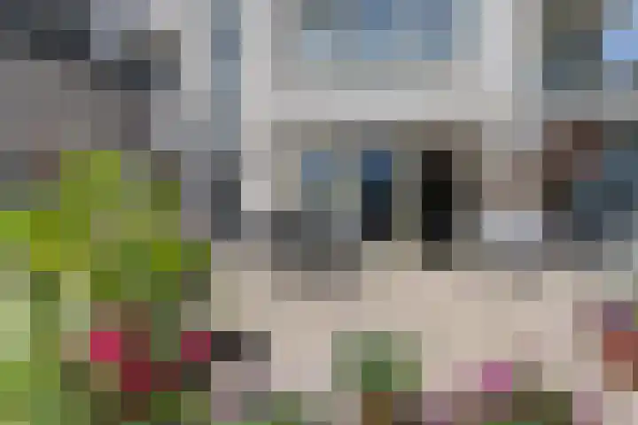 Weegbreepad 8 Goes thumbnail 24