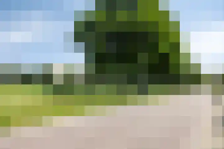 Weegbreepad 8 Goes thumbnail 26
