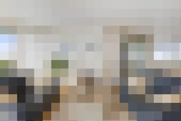 Weegbreepad 86 Goes thumbnail 10