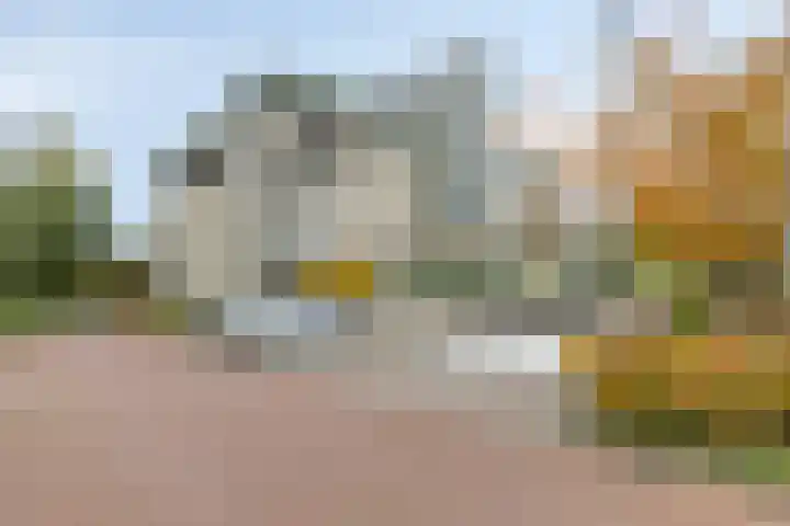 Weegbreepad 86 Goes foto 2