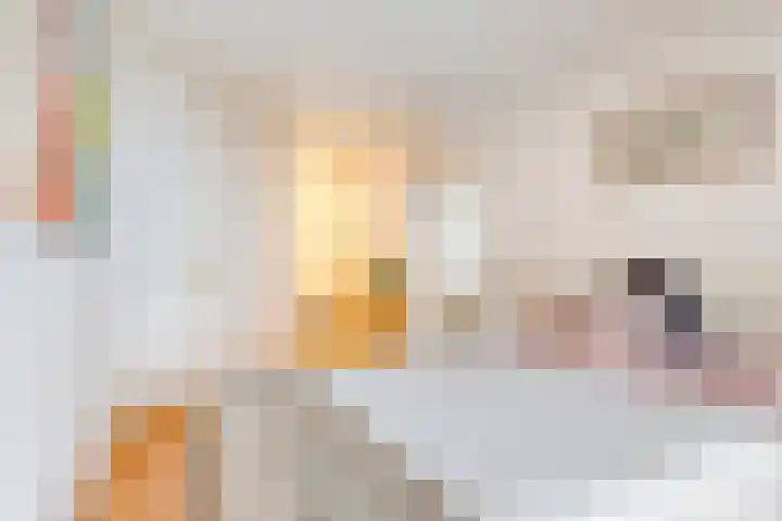 Weegbreepad 86 Goes thumbnail 24