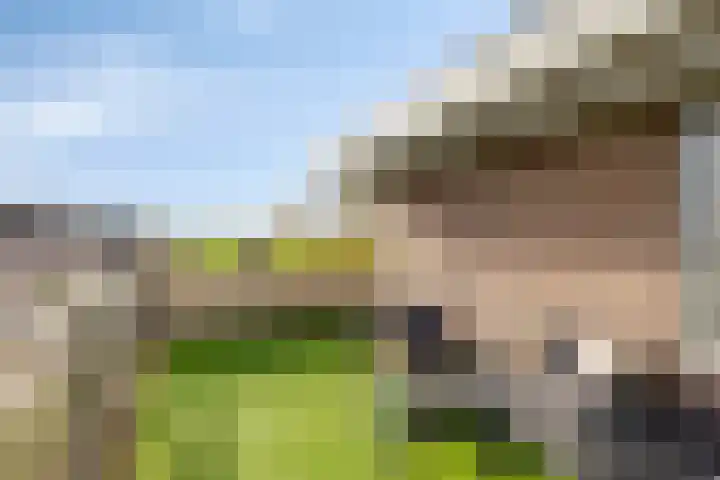 Weegbreepad 86 Goes thumbnail 28
