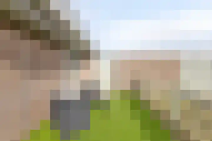 Weegbreepad 86 Goes thumbnail 29