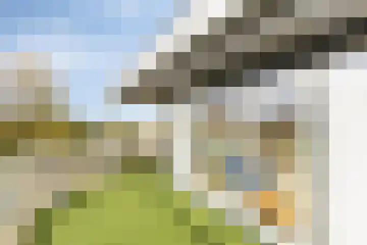 Weegbreepad 86 Goes thumbnail 30
