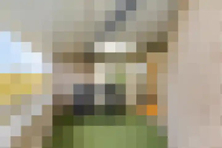 Weegbreepad 86 Goes thumbnail 31