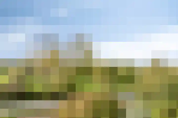 Weegbreepad 86 Goes thumbnail 32