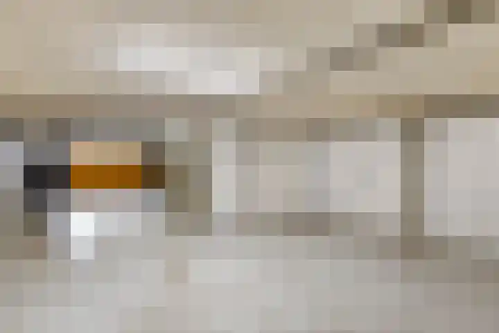 Weegbreepad 86 Goes thumbnail 33