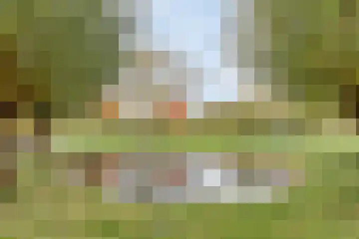 Weegbreepad 86 Goes thumbnail 35