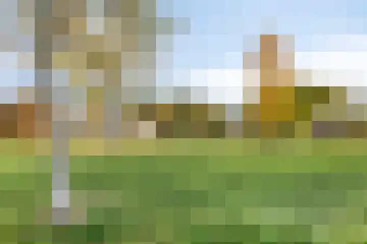 Weegbreepad 86 Goes thumbnail 36