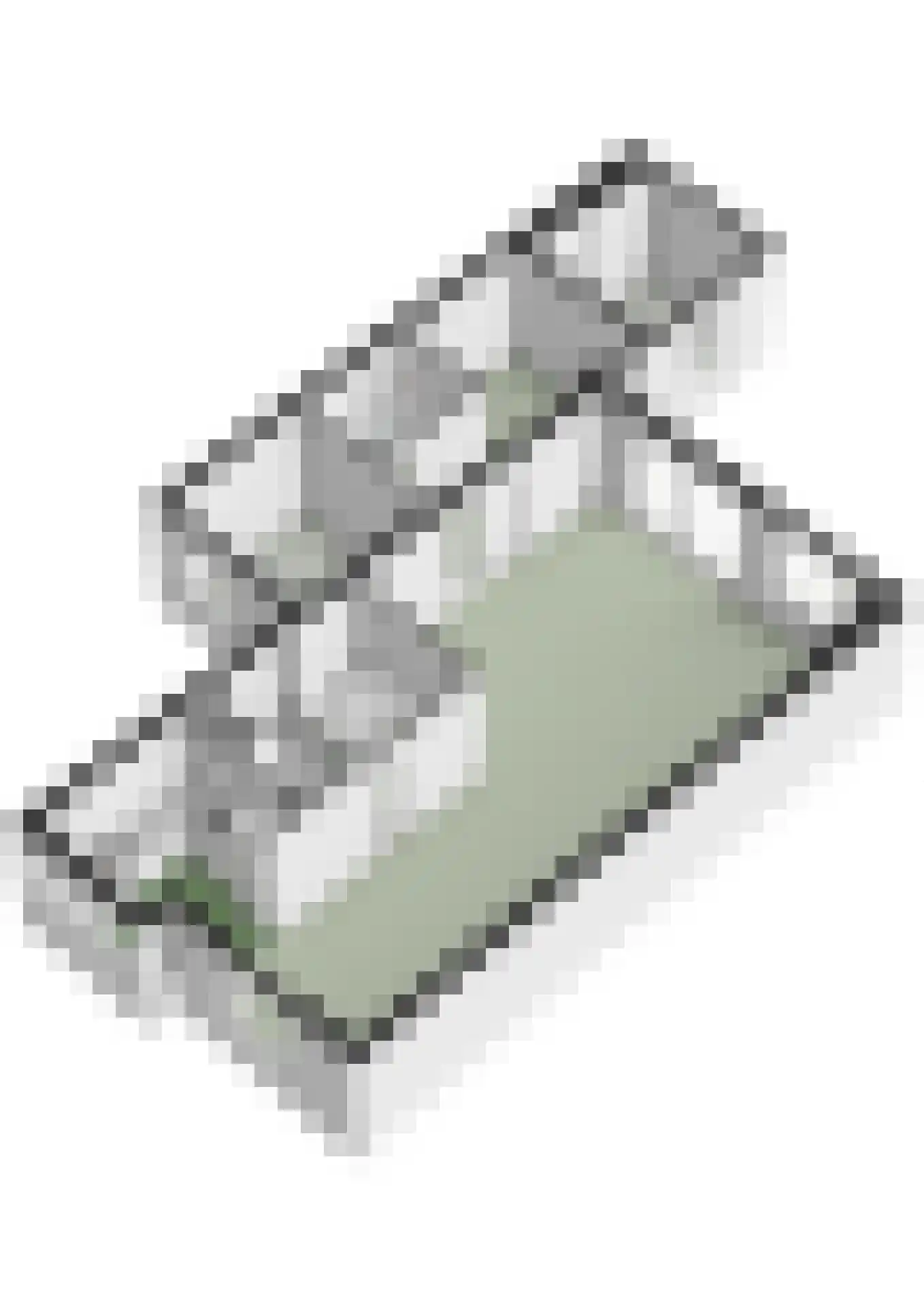 Weegbreeplantsoen 27 Berkel en Rodenrijs thumbnail 46