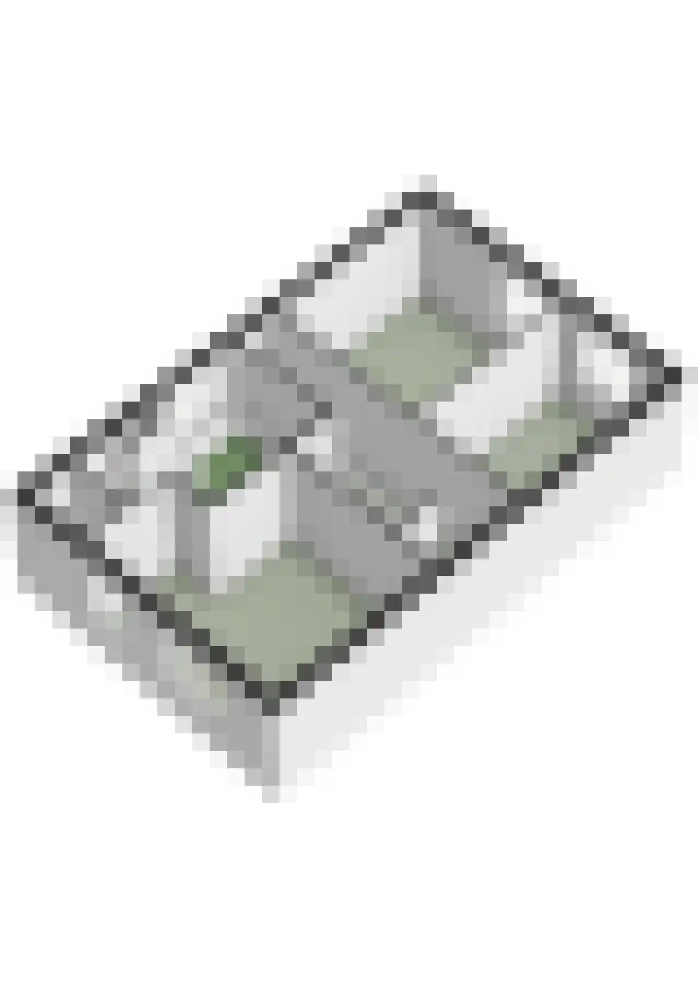 Weegbreeplantsoen 27 Berkel en Rodenrijs thumbnail 48