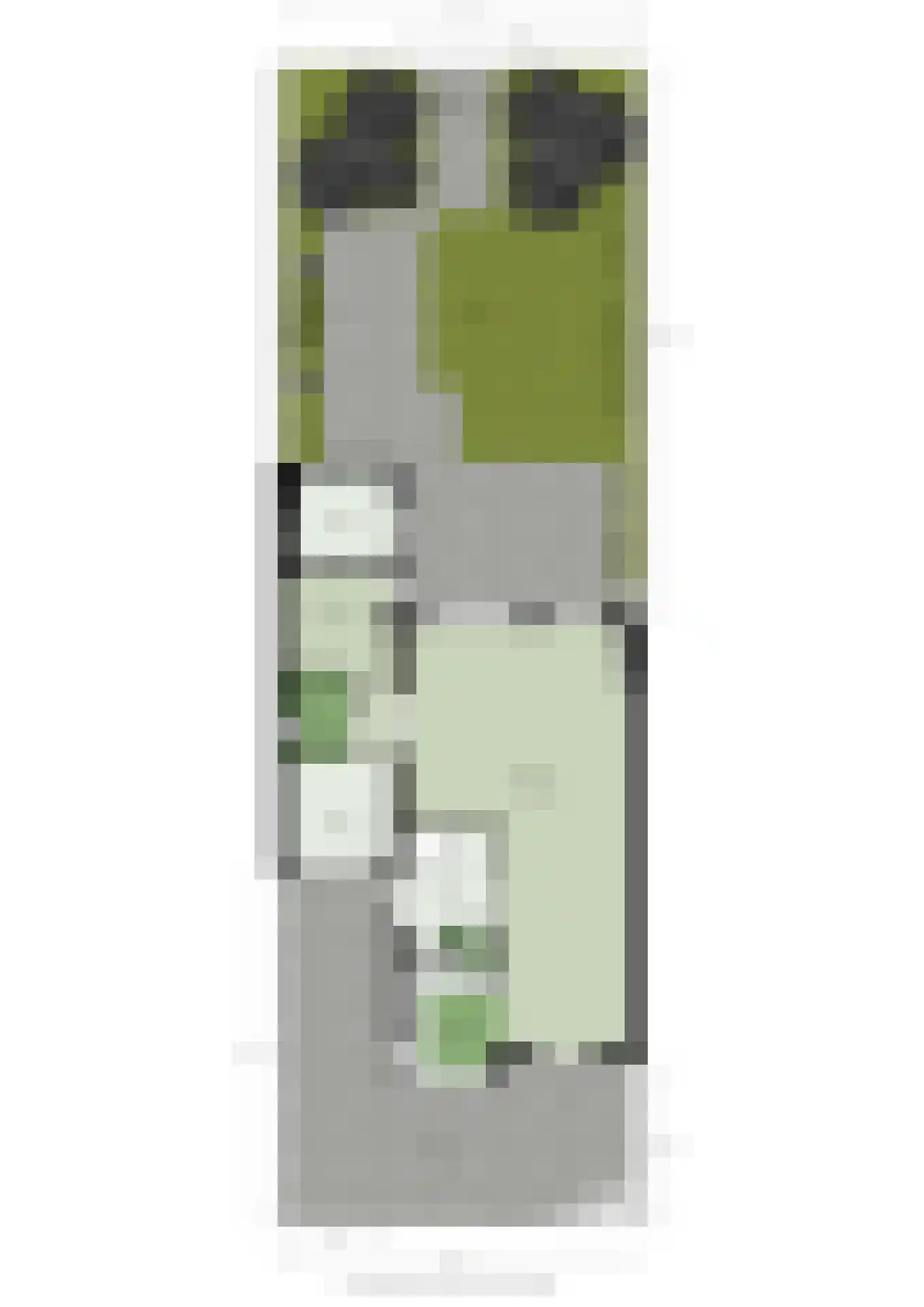 Weegbreeplantsoen 27 Berkel en Rodenrijs thumbnail 51