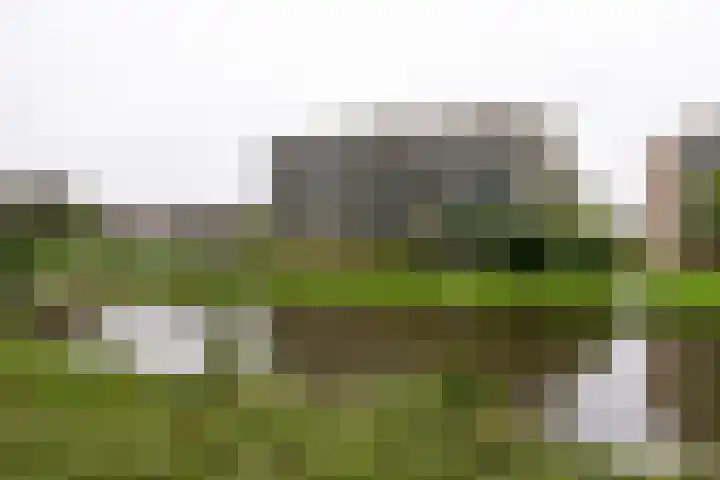 Weegbreestraat 120 Nieuw-Vennep thumbnail 25