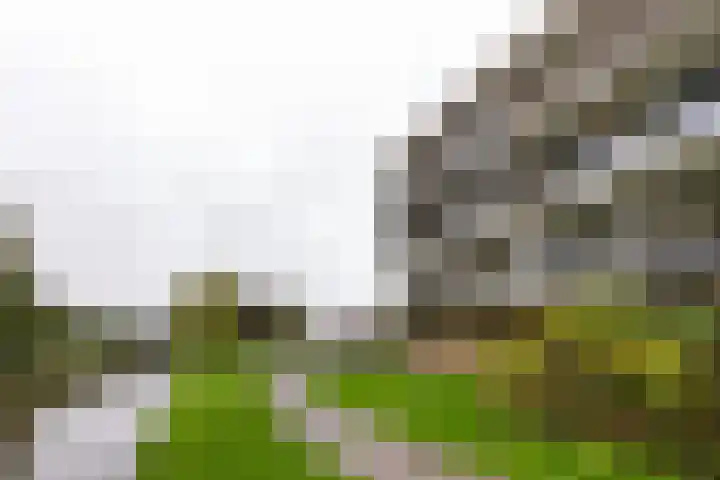 Weegbreestraat 120 Nieuw-Vennep thumbnail 27