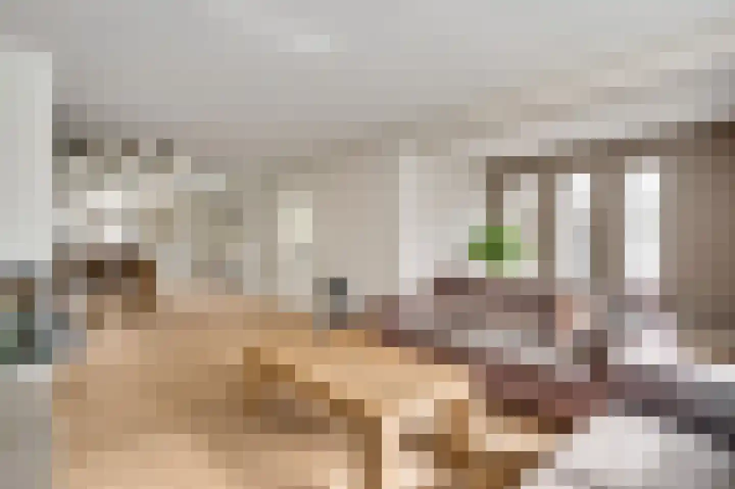 Weegbreestraat 2 Maarheeze thumbnail 13