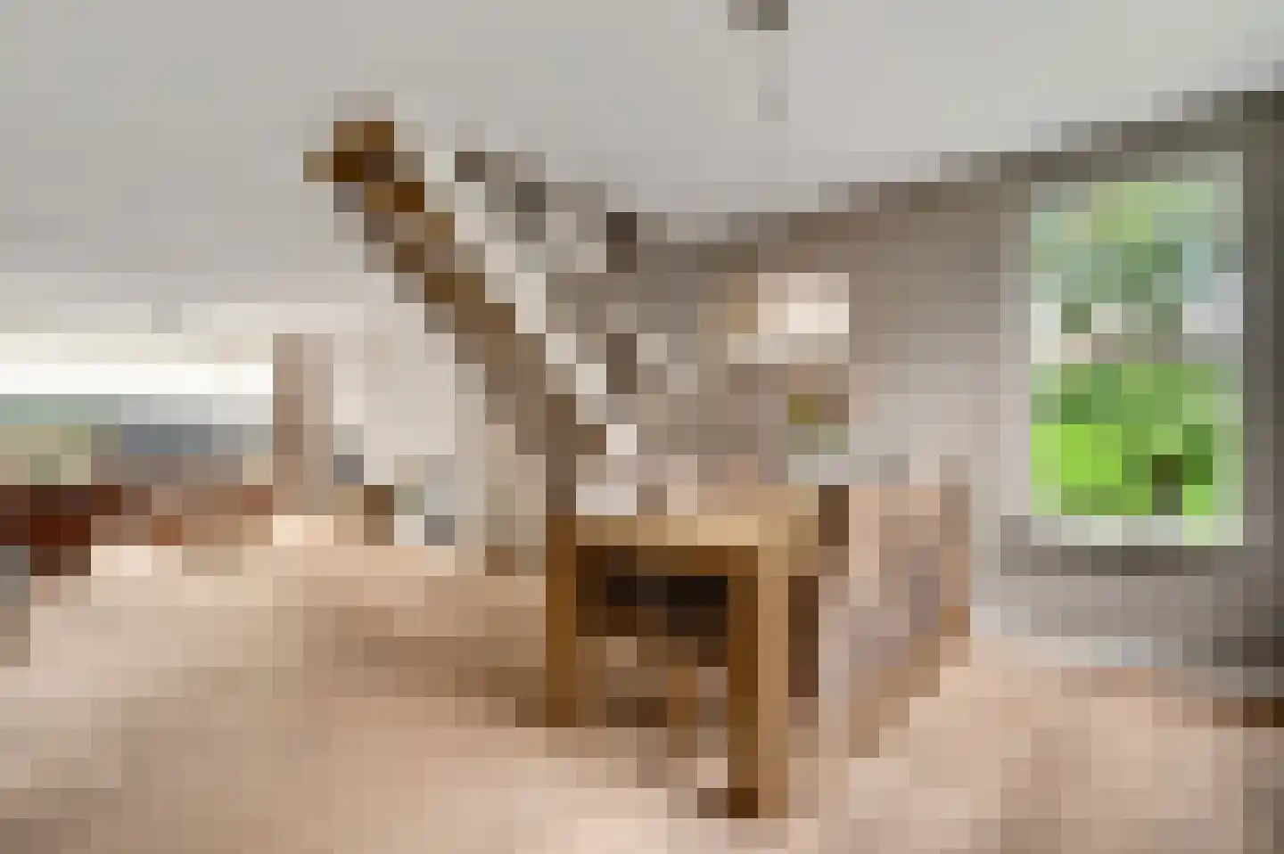 Weegbreestraat 2 Maarheeze thumbnail 16
