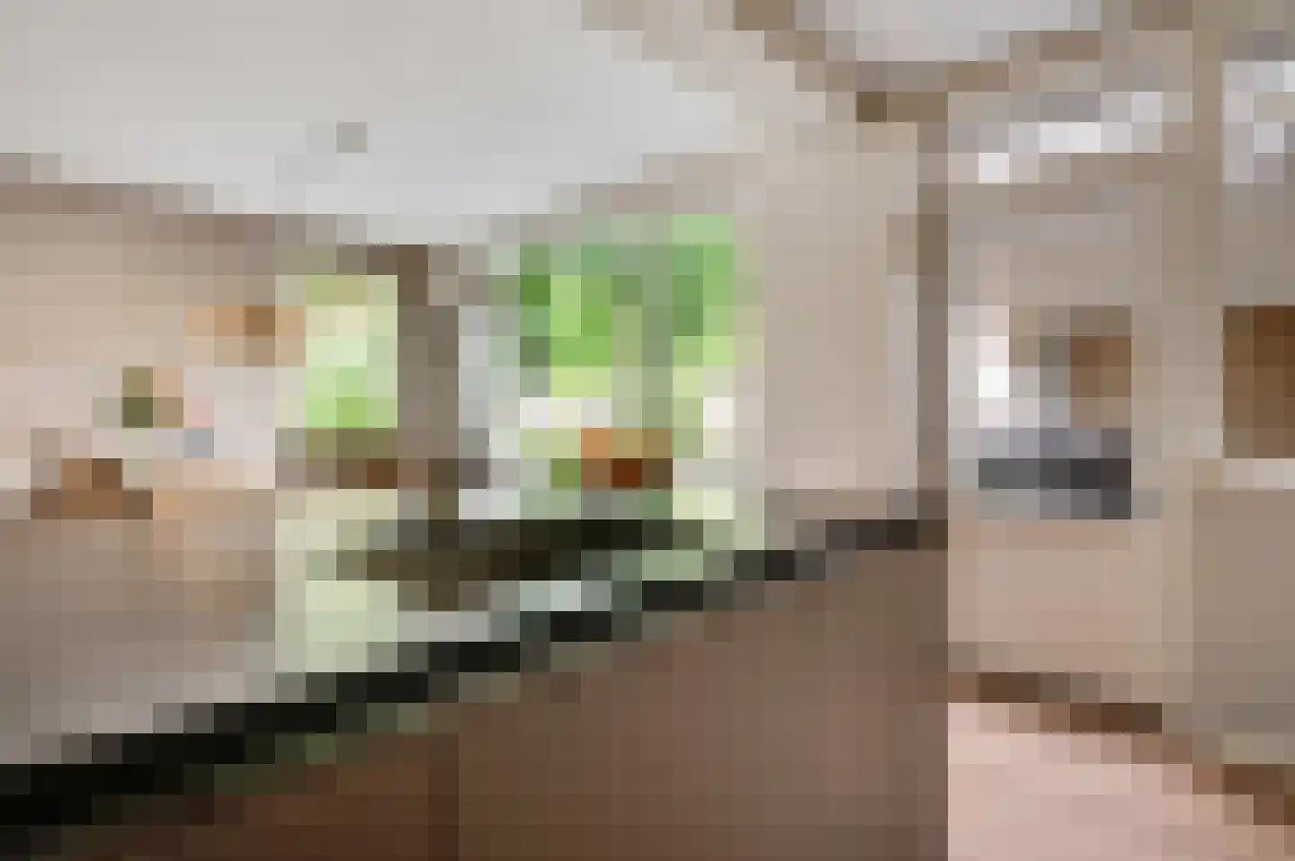 Weegbreestraat 2 Maarheeze thumbnail 19
