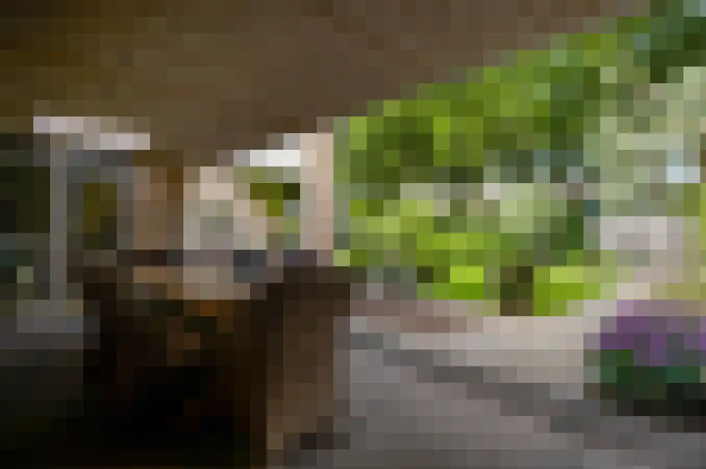 Weegbreestraat 2 Maarheeze thumbnail 30