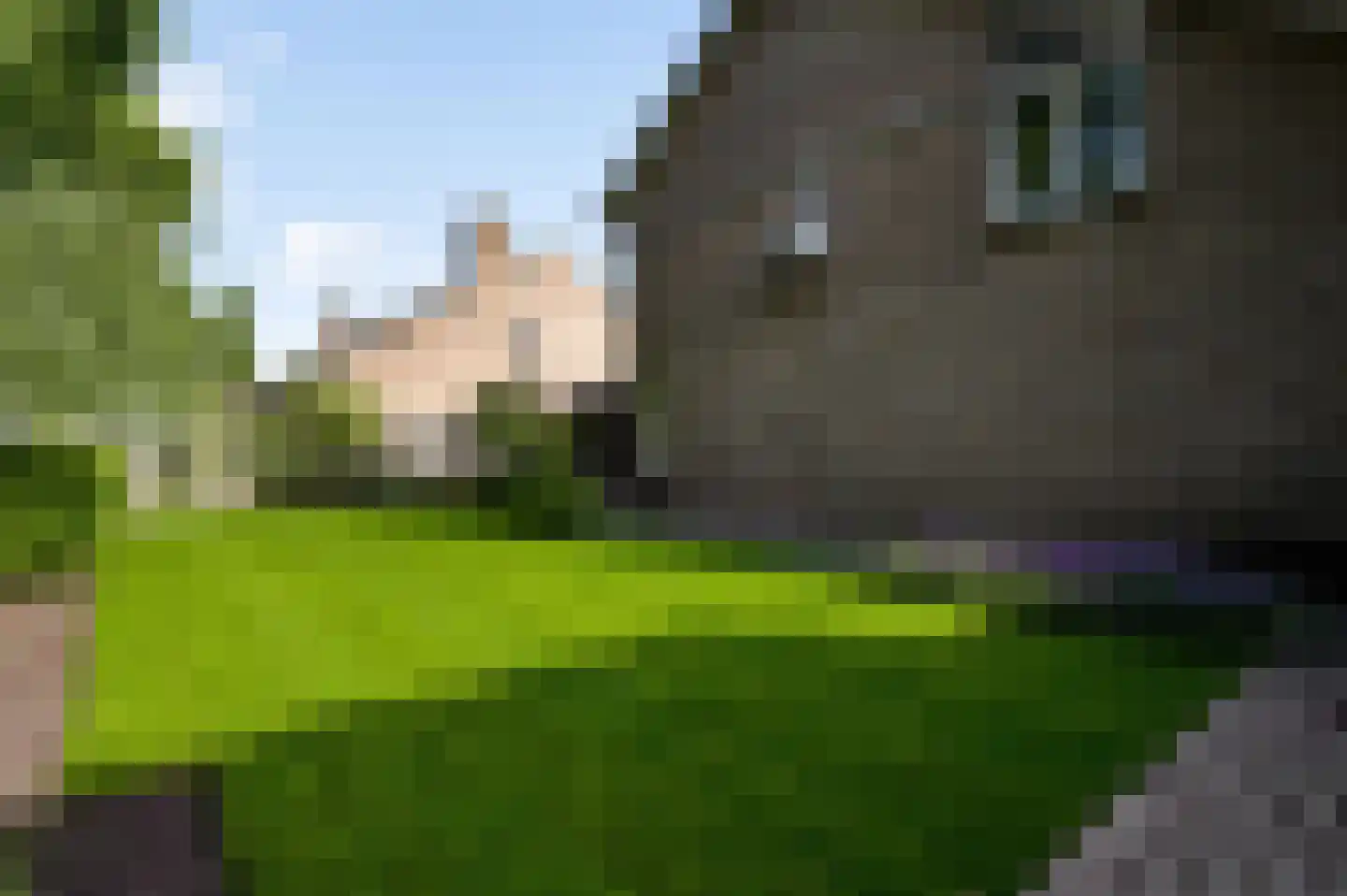 Weegbreestraat 2 Maarheeze thumbnail 32