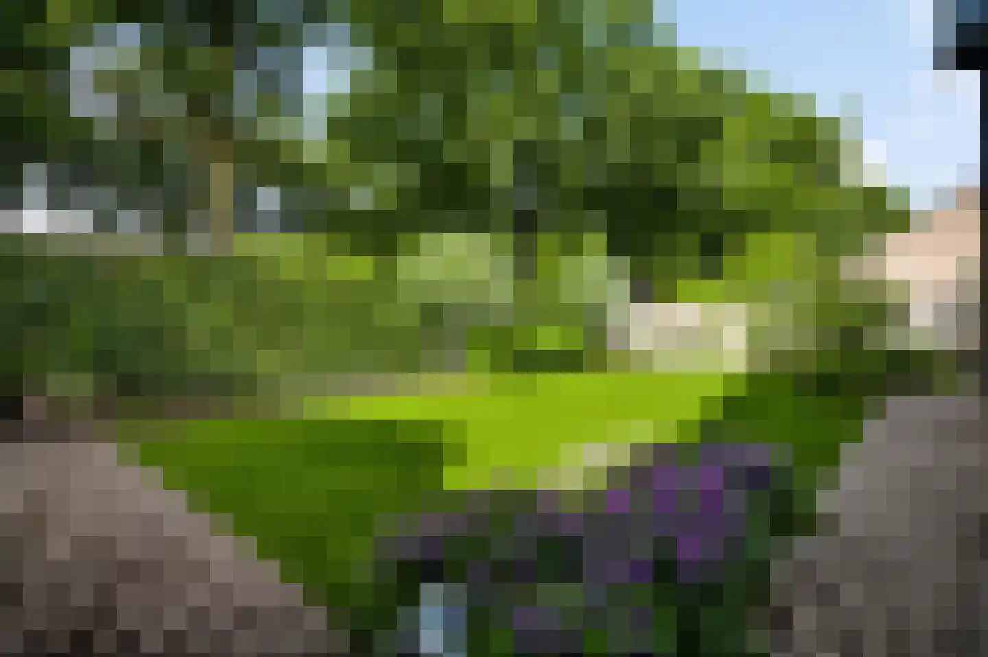 Weegbreestraat 2 Maarheeze thumbnail 33
