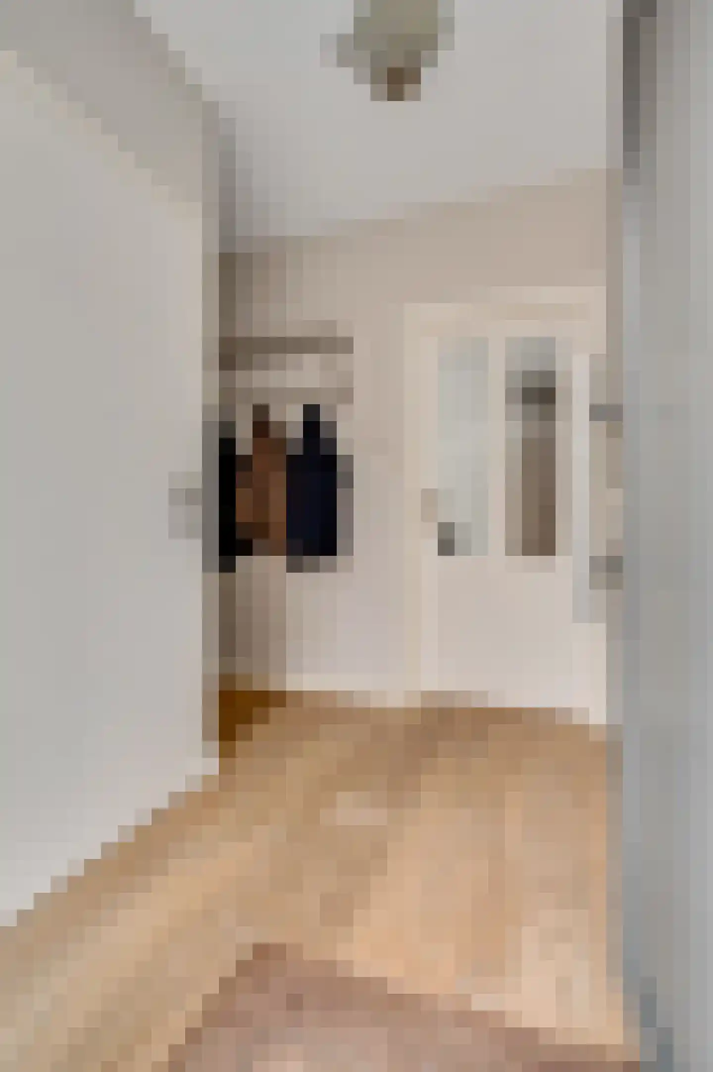 Weegbreestraat 2 Maarheeze thumbnail 9