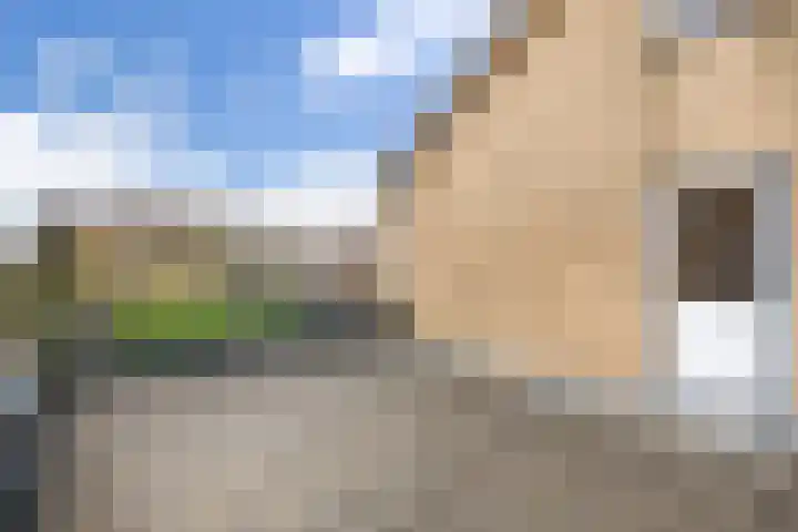 Weegbreestraat 20 Nieuw-Vennep thumbnail 34