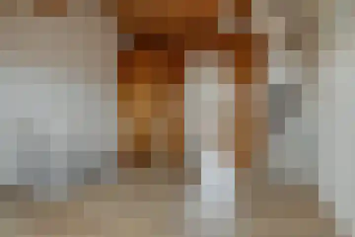 Weegbreestraat 20 Nieuw-Vennep thumbnail 37