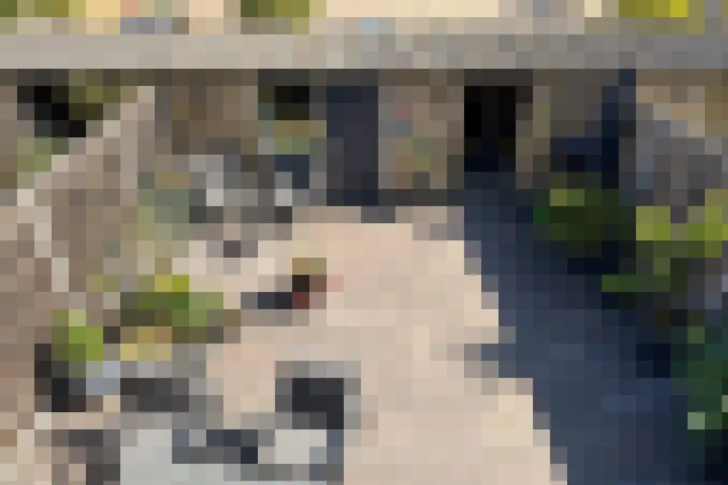 Weegbreestraat 33 Nieuw-Vennep thumbnail 18