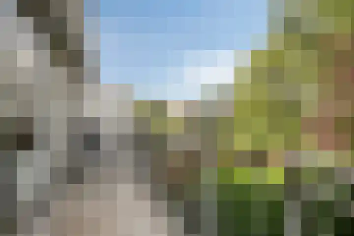 Weegbreestraat 6 Soest thumbnail 11