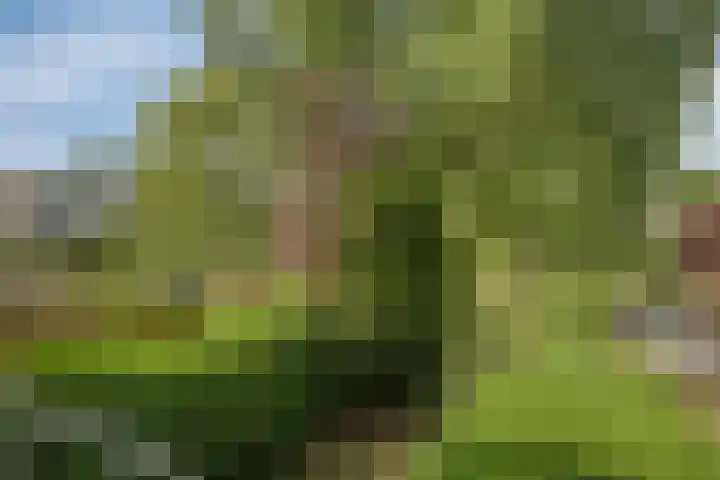 Weegbreestraat 6 Soest thumbnail 12