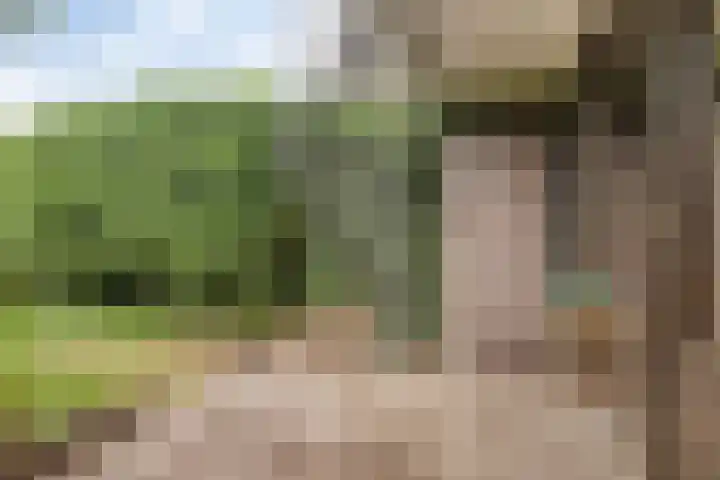 Weegbreestraat 6 Soest thumbnail 25