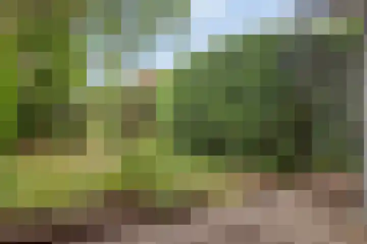 Weegbreestraat 6 Soest thumbnail 26
