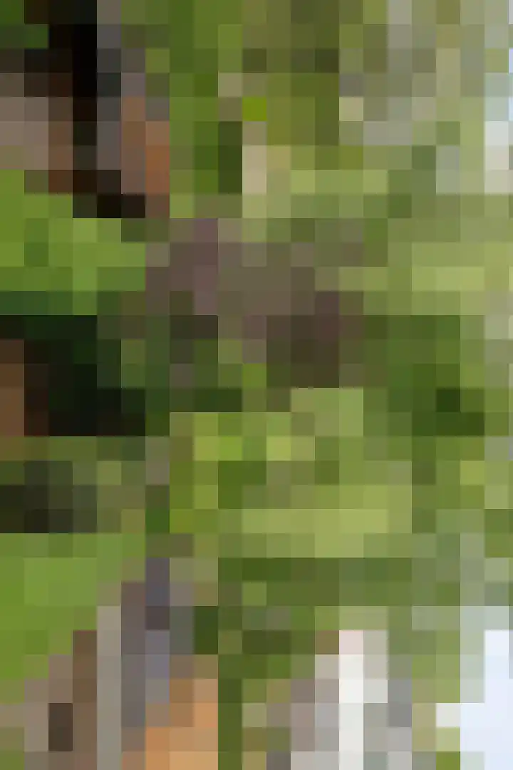 Weegbreestraat 6 Soest thumbnail 27