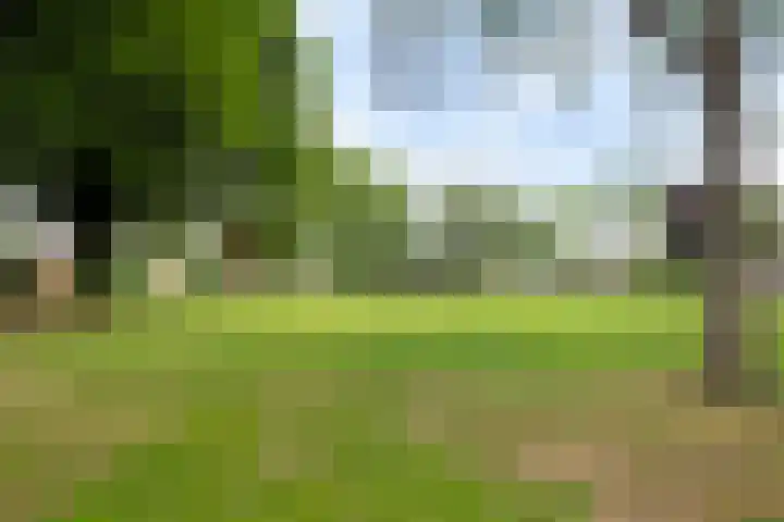 Weegbreestraat 6 Soest thumbnail 28