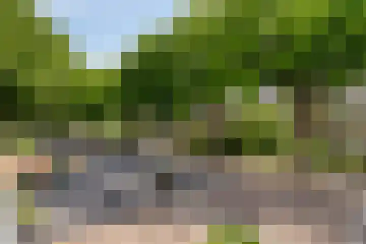 Weegbreestraat 6 Soest thumbnail 33