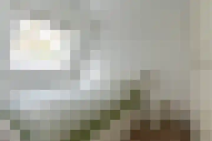Weegbreestraat 667 D Soest thumbnail 8