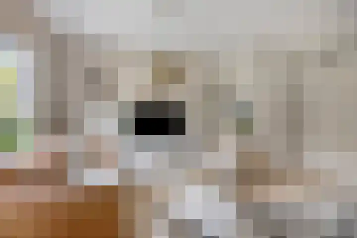 Weegbreestraat 8 Purmerend thumbnail 11