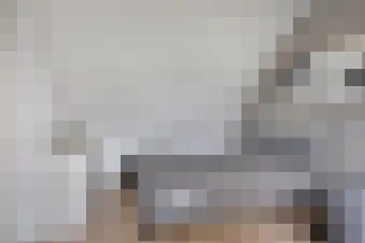 Weegbreestraat 8 Purmerend thumbnail 27