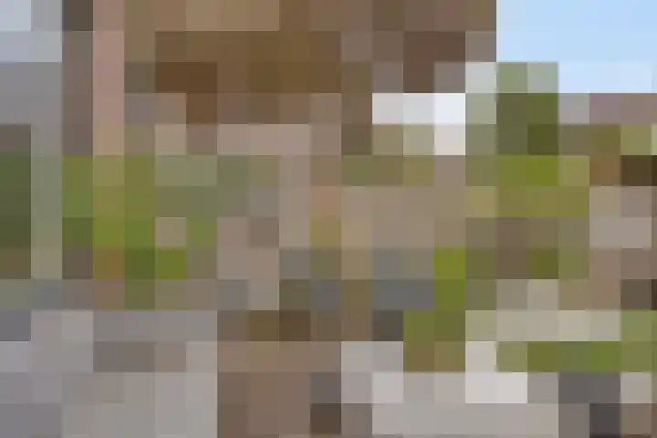 Weegbreestraat 8 Purmerend thumbnail 28