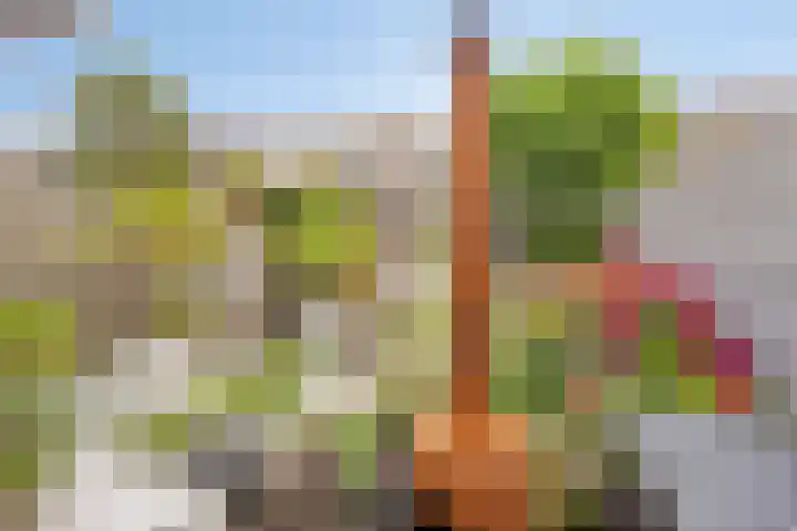 Weegbreestraat 8 Purmerend thumbnail 29