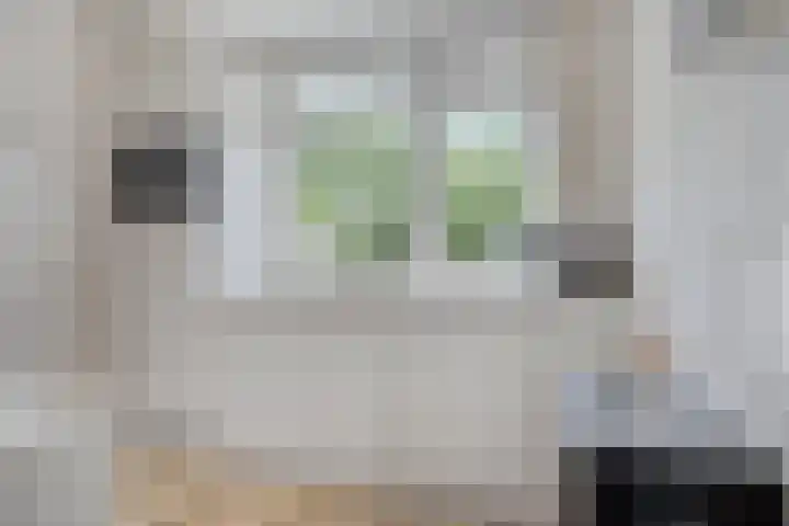 Weegbreestraat 8 Purmerend thumbnail 4