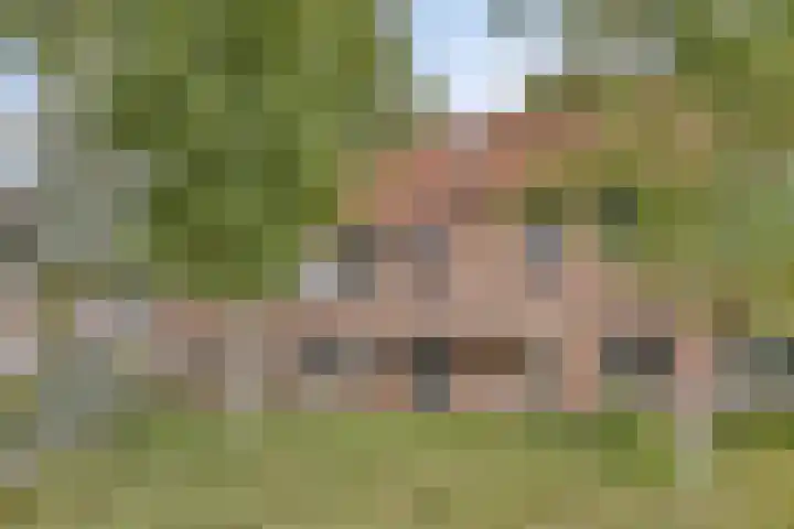 Weegbreestraat 8 Purmerend thumbnail 7
