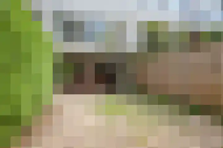 Weegbreestraat 8 Soest thumbnail 25