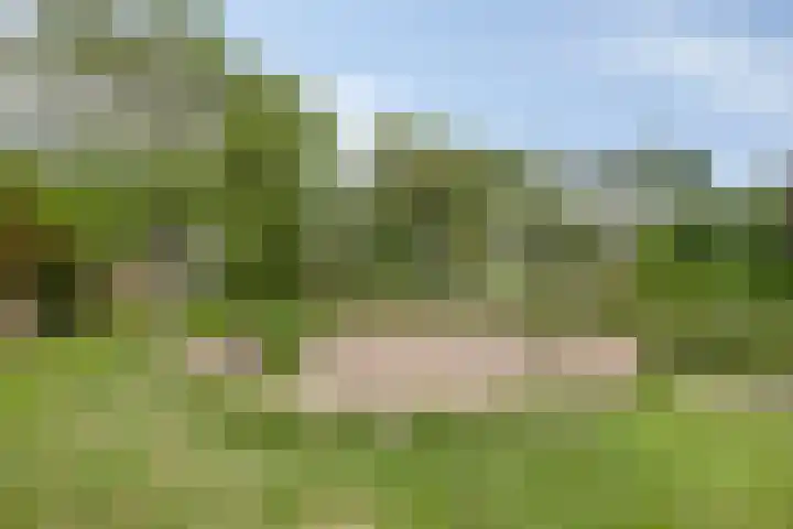 Weegbreestraat 8 Soest thumbnail 28