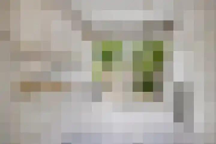 Weegbreestraat 8 Soest thumbnail 6