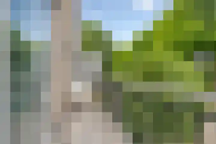 Weegbreestraat 8 Soest thumbnail 8