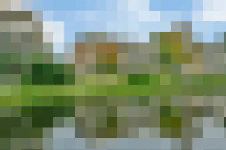 Weegbreestraat 96 in Nieuw-Vennep