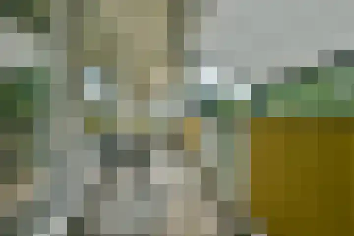 Weegbreestraat 96 Nieuw-Vennep thumbnail 24